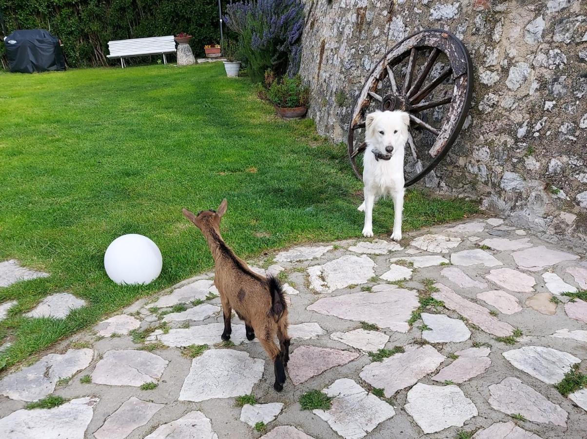 Vila Campagna In Compagnia Vallo di Nera Exteriér fotografie