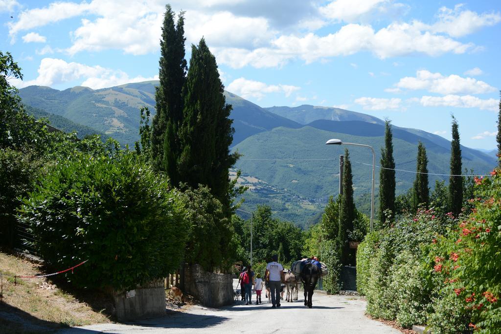 Vila Campagna In Compagnia Vallo di Nera Exteriér fotografie